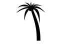 palmtree b r kessels