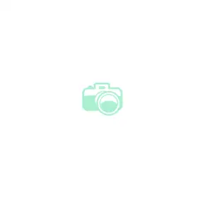 Mint Picture Camera Clipart