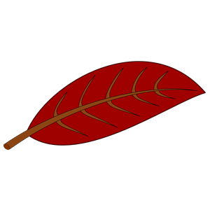 Simple leaf in dark red