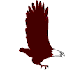 Eagle 05