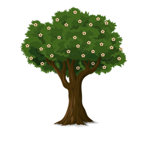 Detailed Tree
