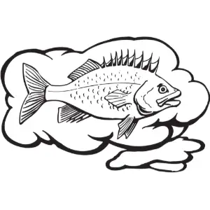 Fish Thoughts Clipart