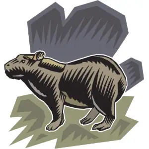 Animal, Capybara