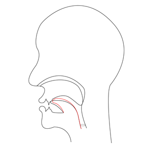 midsagittal CH - voiceless postalveolar affricate