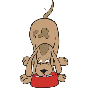 Dog Drinking Clipart