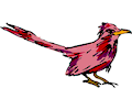 Bird 11