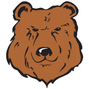 Bear Face Clipart