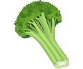 vegetables 22