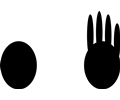 CountingHands-four.svg
