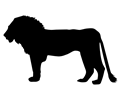 Lion Profile Silhouette