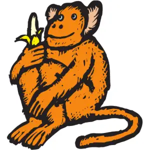 Monkey Clipart