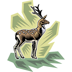 Deer 18