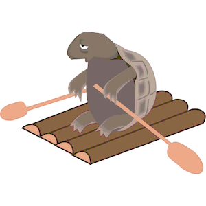 Turtle On Raft
