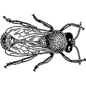 drone 1 Clipart