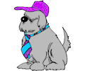 Dog with Hat Tie