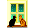 Cats at Window