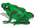 Frog Green