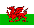 Cymru Flag (Wales)