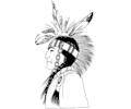 Native American Profile