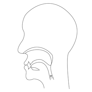 midsagittal B - voiced bilabial plosive