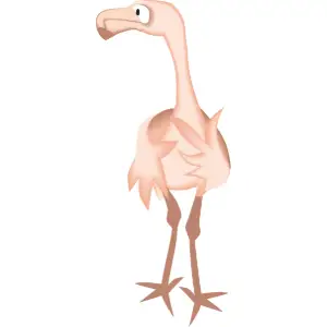 Flamingo Clipart