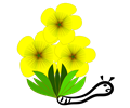 a flor amarela e a lagarta