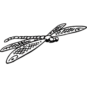 Dragonfly 005