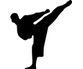 Karate silhouette