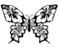 Butterfly Flower Line Art