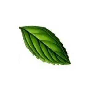 Mint Leaf Clipart