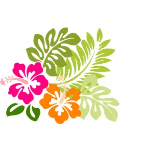 Hibiscus Clipart