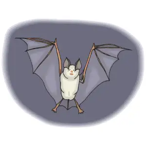Bat Clipart
