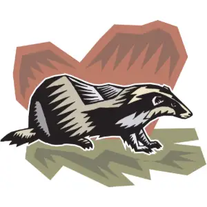 Badger Clipart