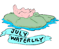 07 July - Water Lily