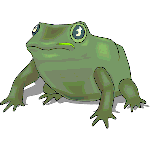 Frog 036