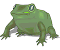 Frog 036