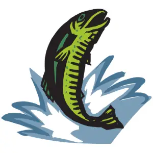 Fish Jumping Clipart
