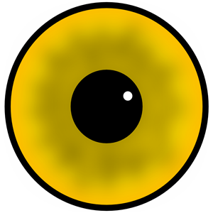 Yellow eye
