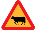Warning Cows Roadsign