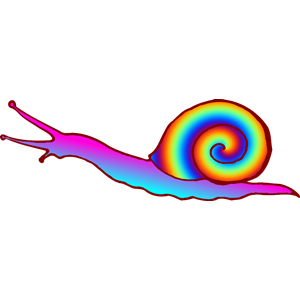 Colourful snail
