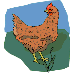 Chicken 10