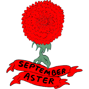 09 September - Aster