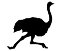 Running Ostrich Silhouette
