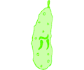 Pickle  Kosher