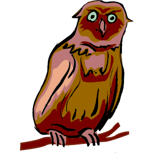 Owl 23