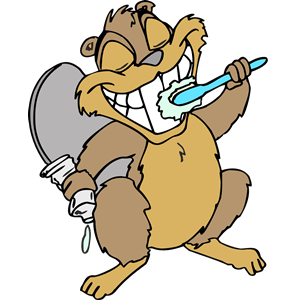 Beaver brushing teeth