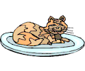 Cat on Plate