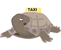 Taxi Turtle