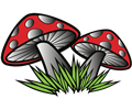 MushroomsBy