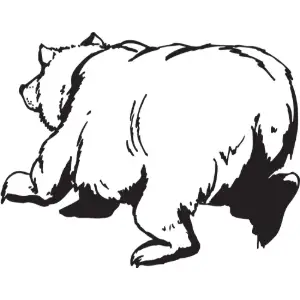 Bear Clipart